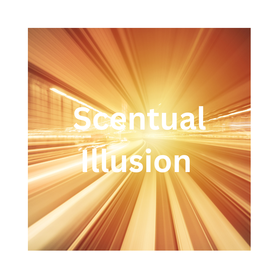 Scentual Illusion Wax Melt