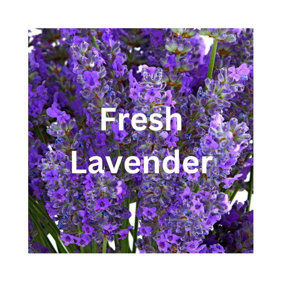 Fresh Lavender Wax Melt
