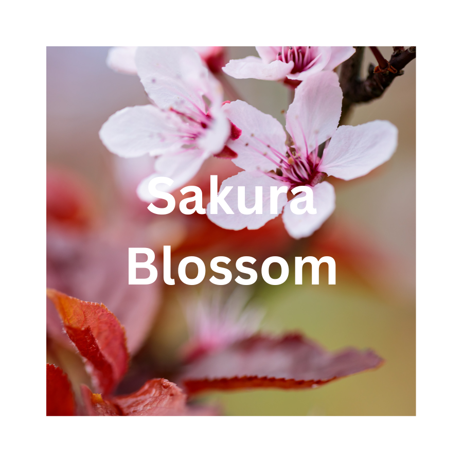 Sakura Blossom Wax Melt