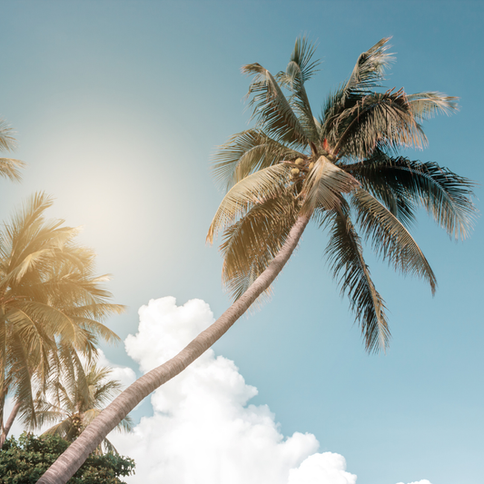 Australian Coco Sandalwood Wax Melt