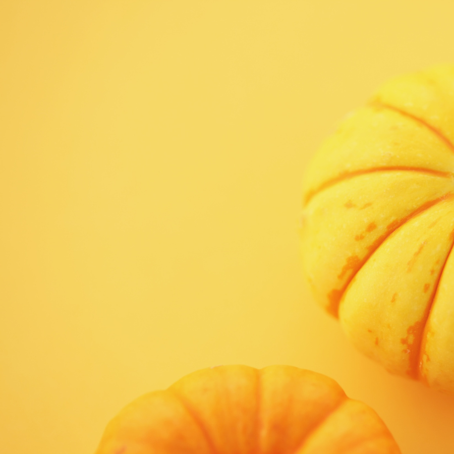 Hey Pumpkin! Wax Melt