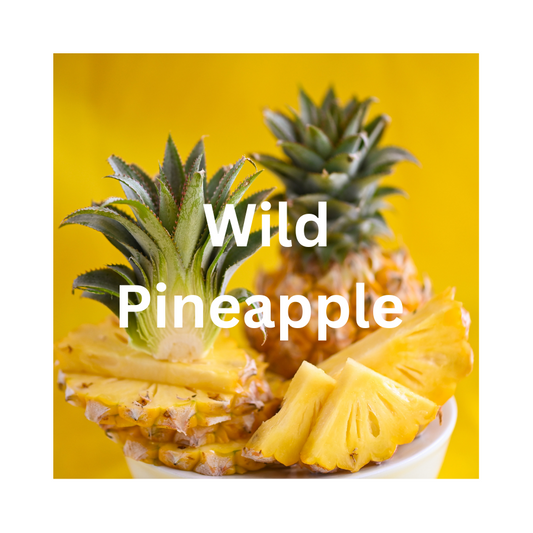 Wild Pineapple Wax Melt Bar