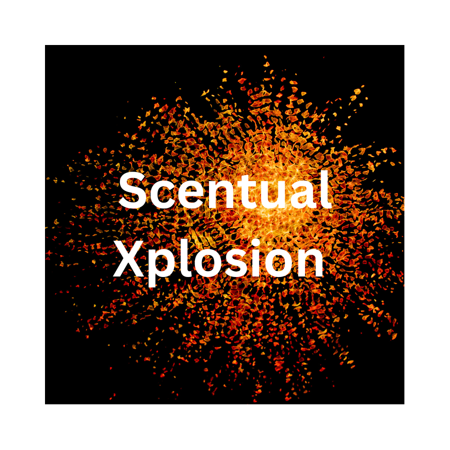 Scentual Xplosion Wax Melt Bar