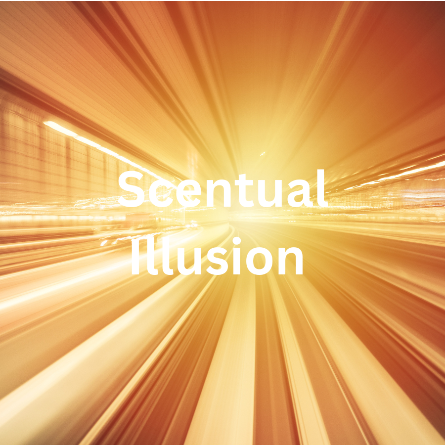 Scentual Illusion Candle