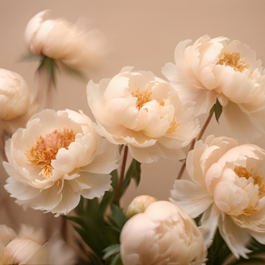 Vanilla Kiss Wax Melt Bar